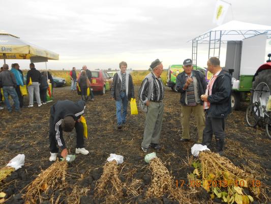 DANI POLJA BIOFOR U BAČKOJ