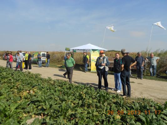 DANI POLJA BIOFOR U BANATU