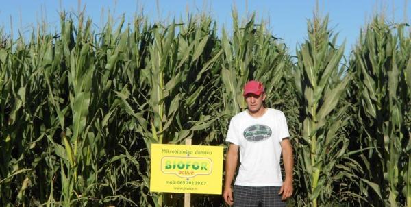 DANI POLJA BIOFOR U SREMU