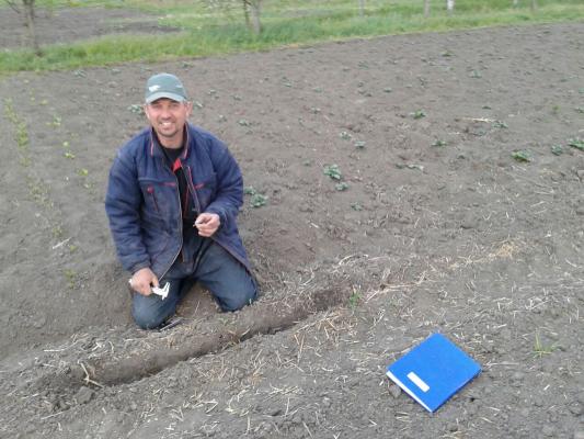 Kukuruz sa šublerom