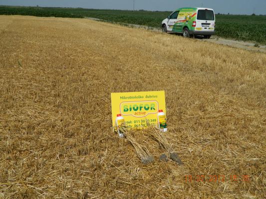 Tretiranje pšenice Biofor Activom