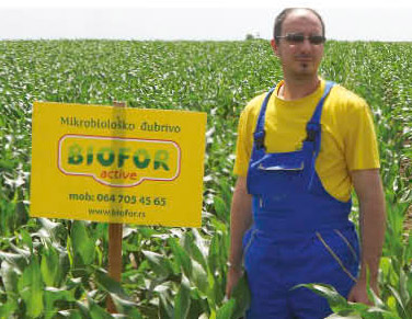 PG Atila Sabo ogled kukuruz