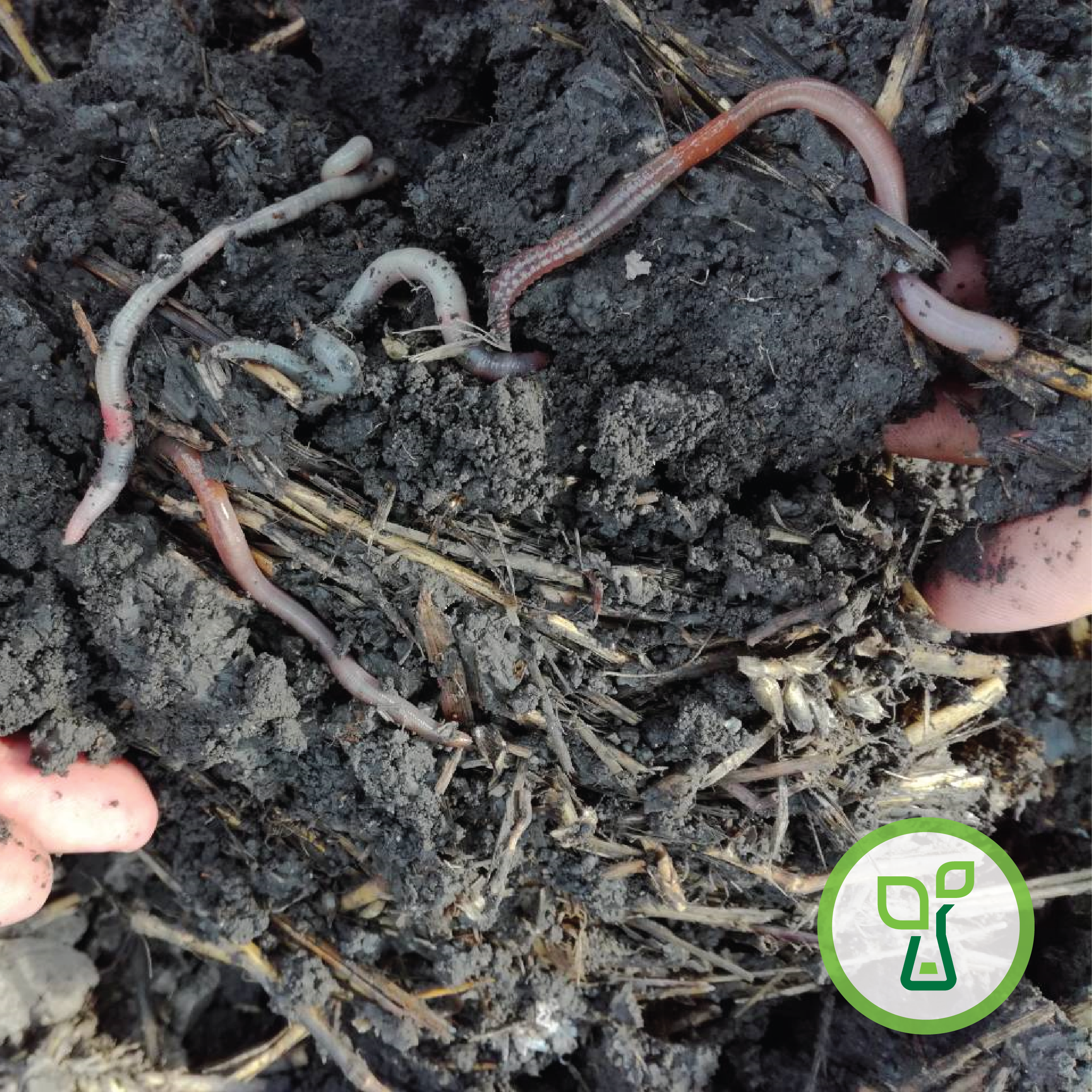 Bioplug – OSTATKE RAZGRADI, HUMUS IZGRADI!