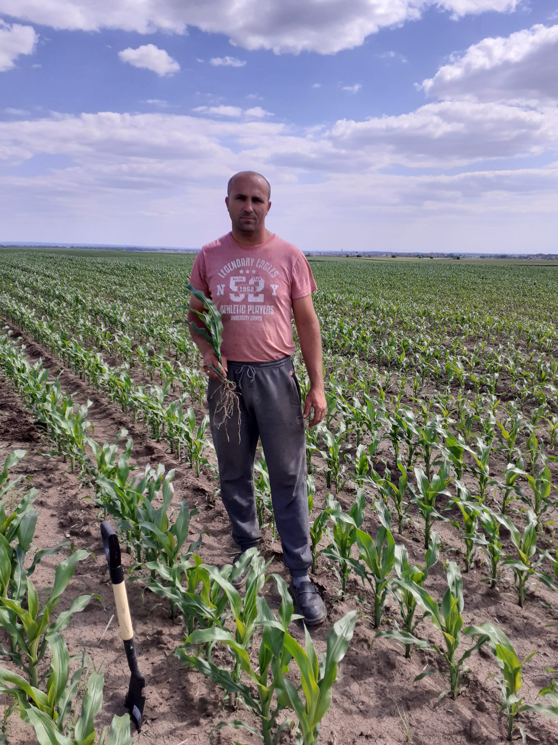 Branislav Ćulum, Batajnica