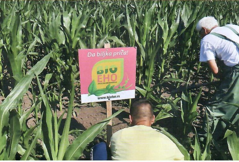 Žurž Pompiliu, Sutjeska
