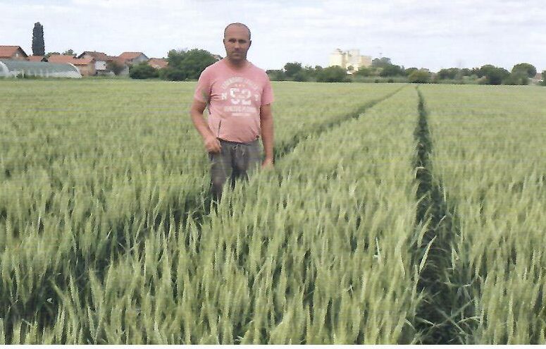 Branislav Ćulum, Batajnica