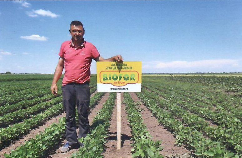 Siniša Guzujan, Sečanj