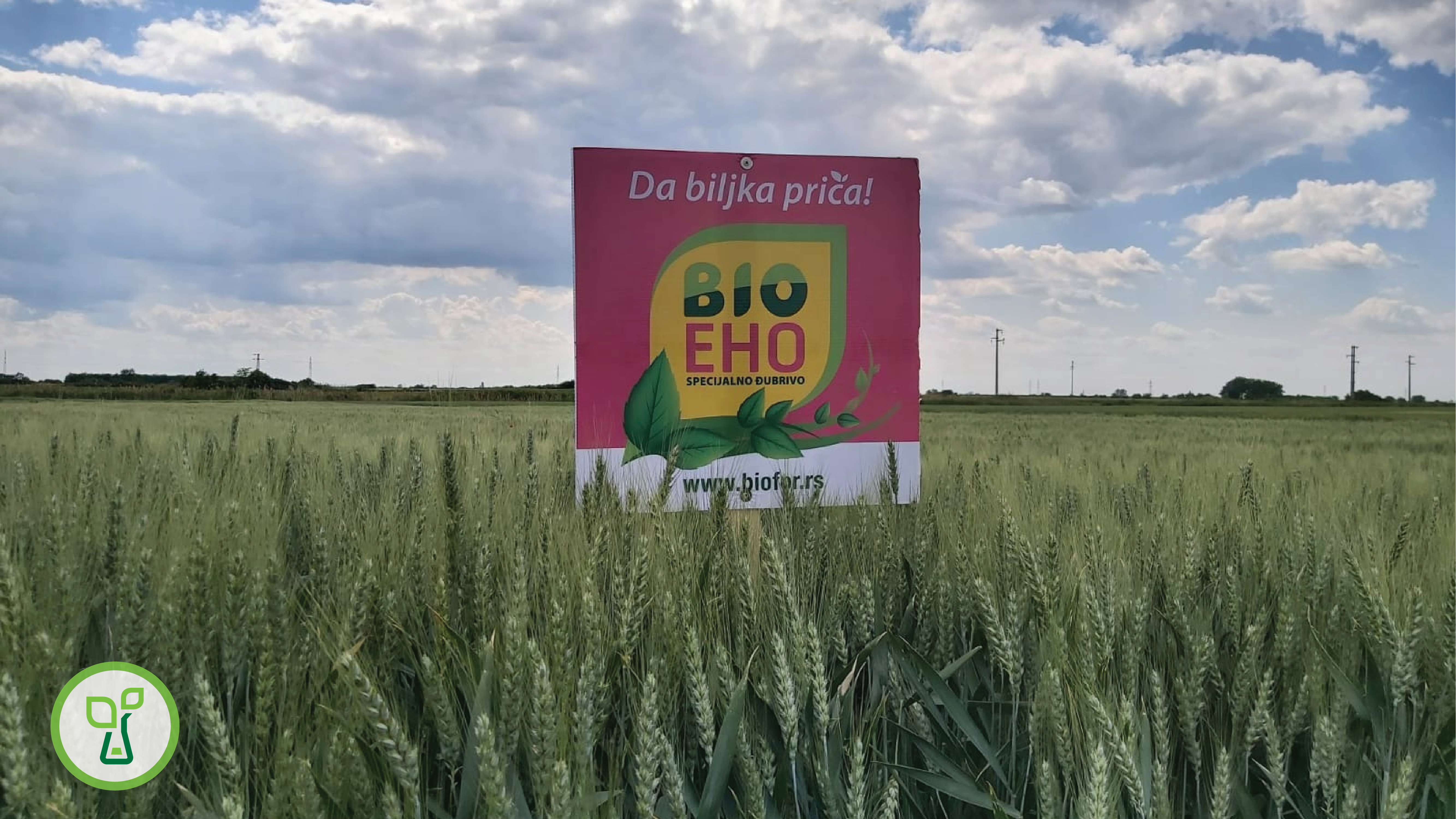 Čikoš Ervin, Rusko Selo