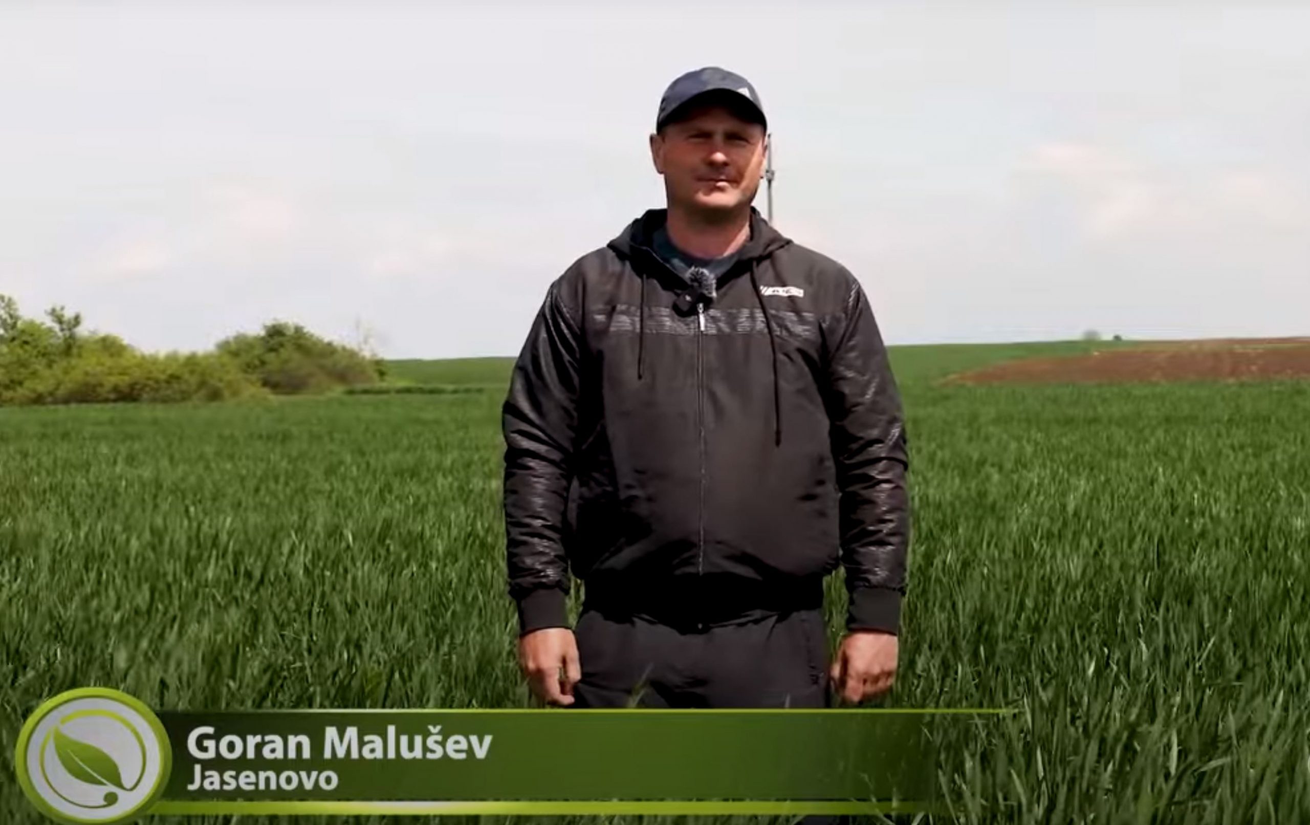 Goran Malušev, Jasenovo