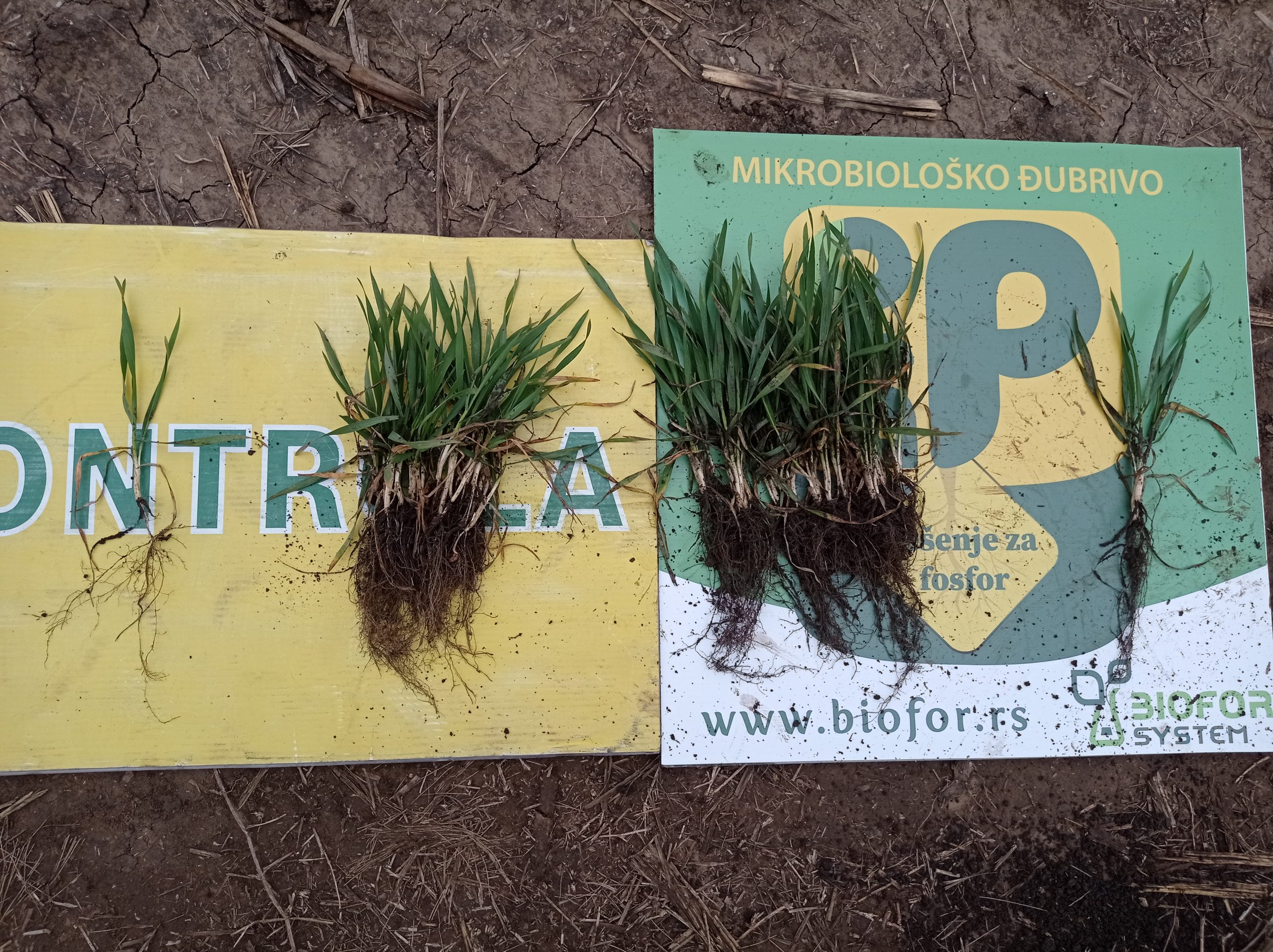 Ogledi proizvođača u 2023 godini. – BTZ tehnologija u praksi