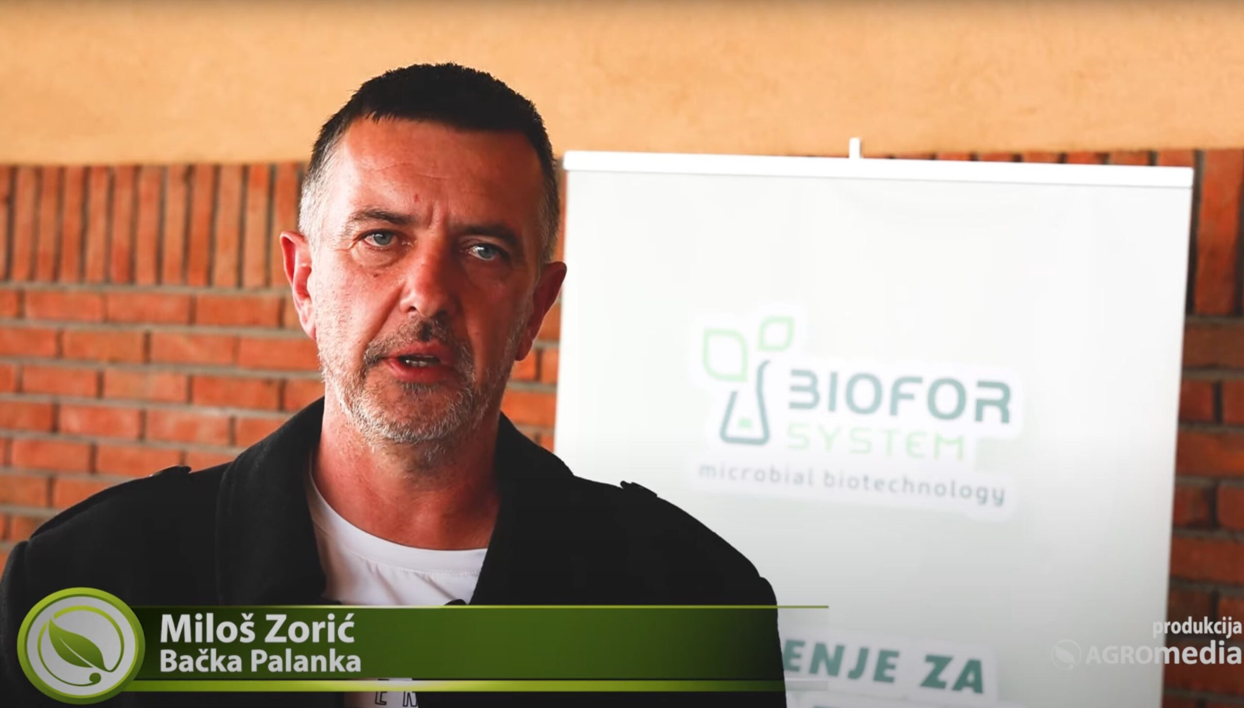 Miloš Zorić, Bačka Palanka