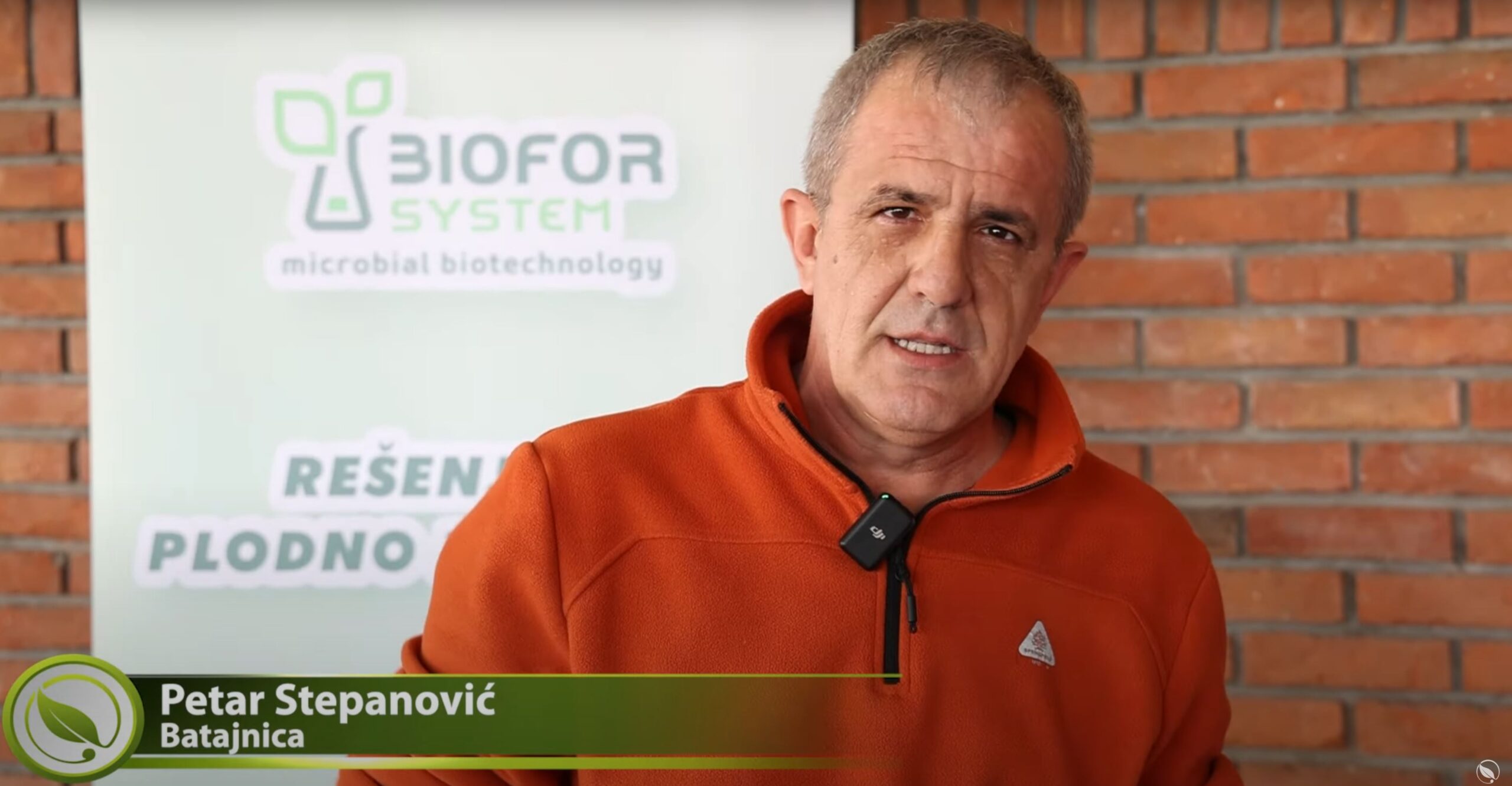 Petar Stepanović, Batajnica