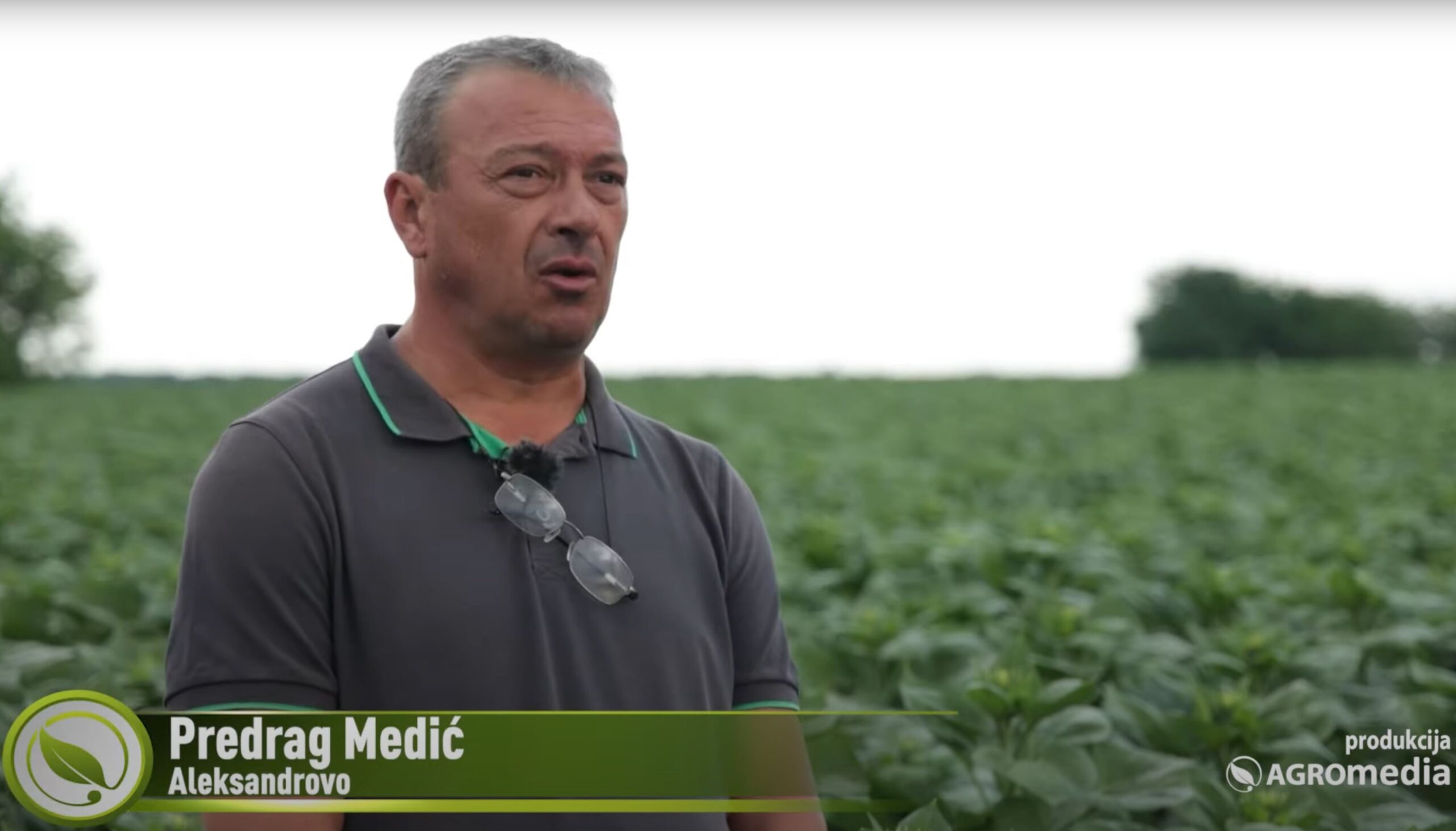 Predrag Medić, Aleksandrovo