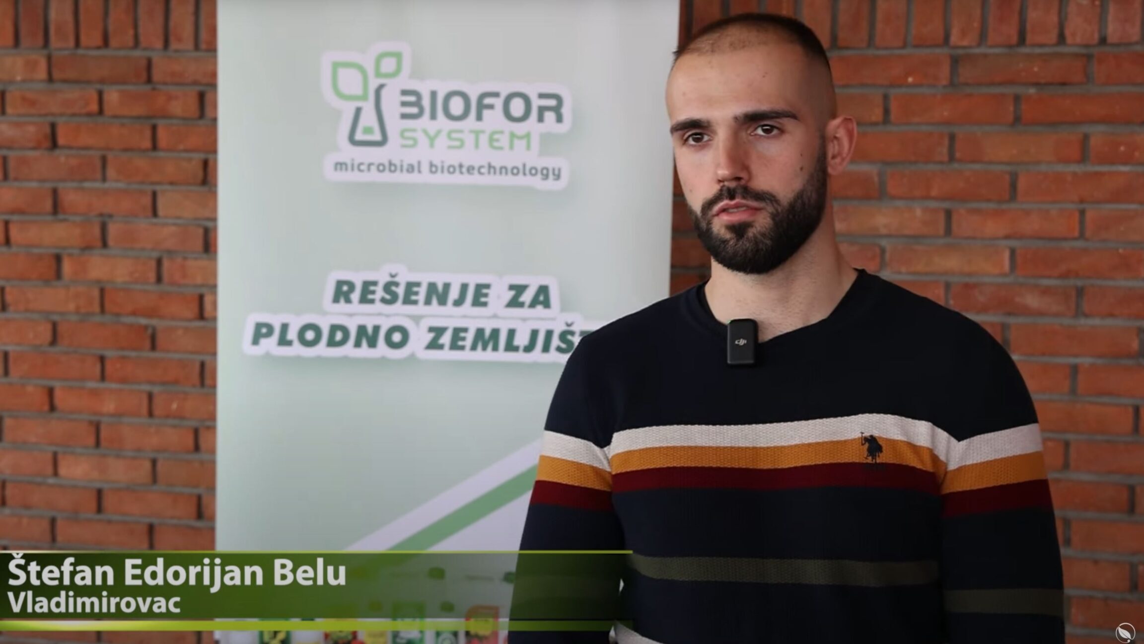 Štefan Edorian Belu, Vladimirovac