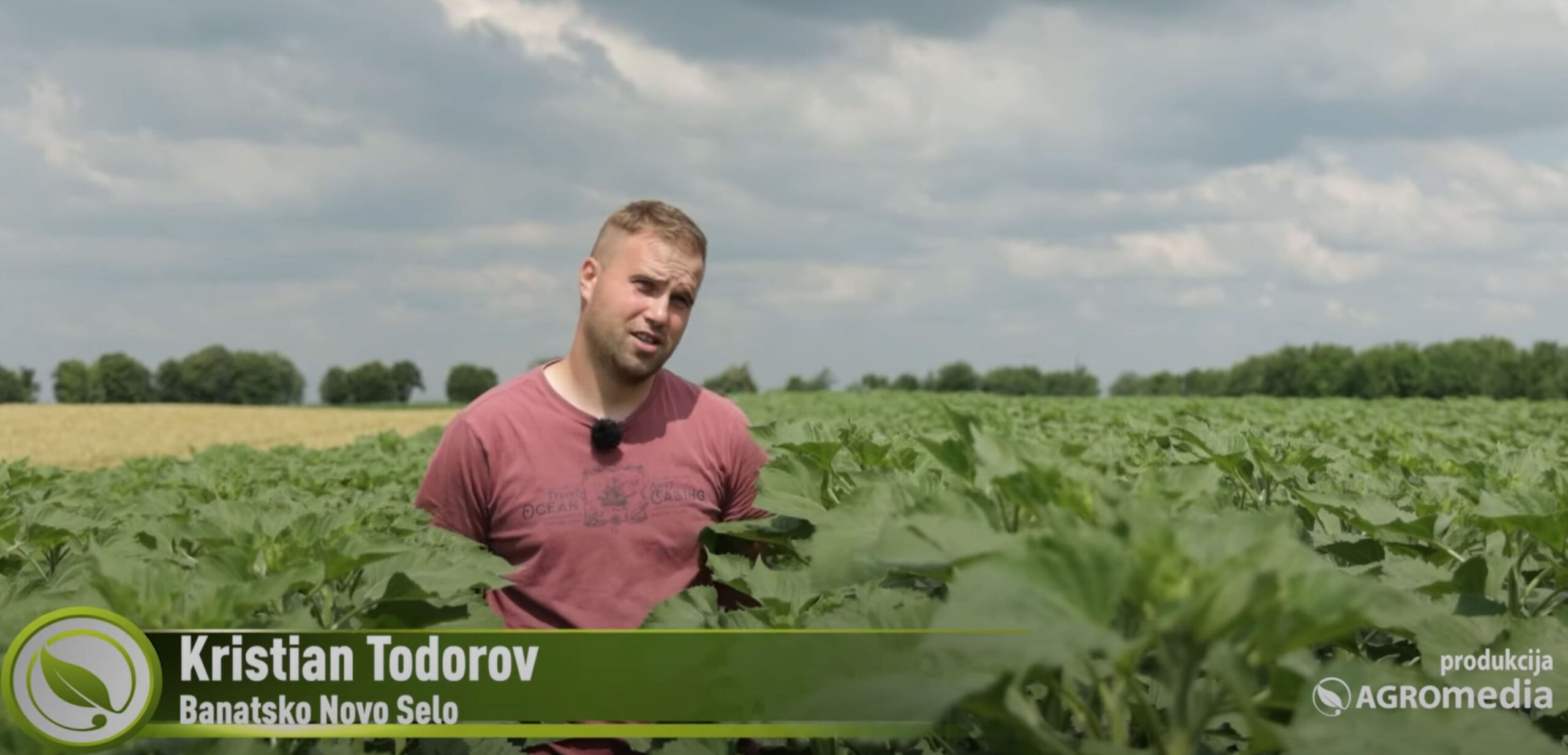 Kristian Todorov, Banatsko Novo Selo