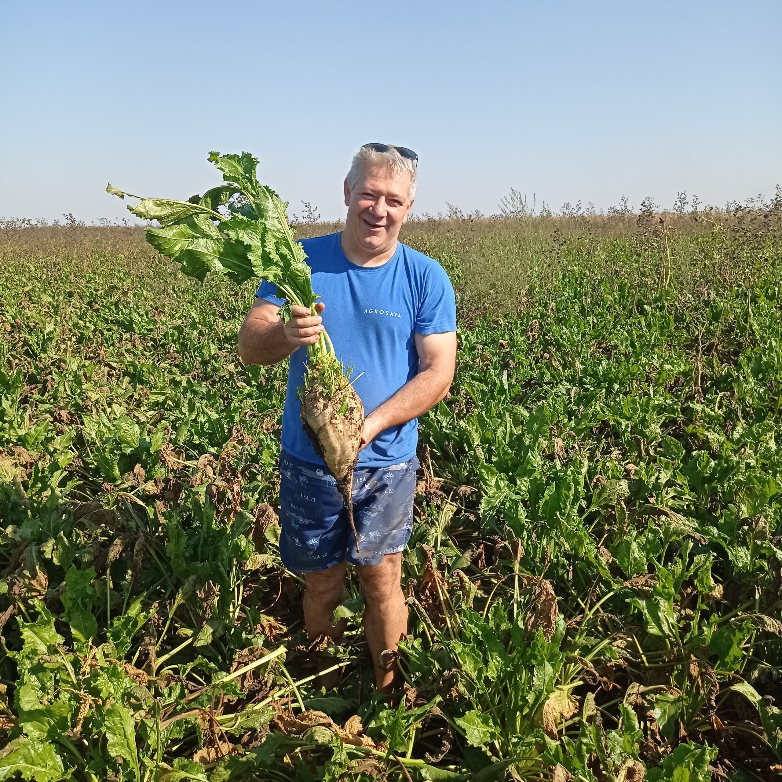 Šandor Juhas, Debeljača