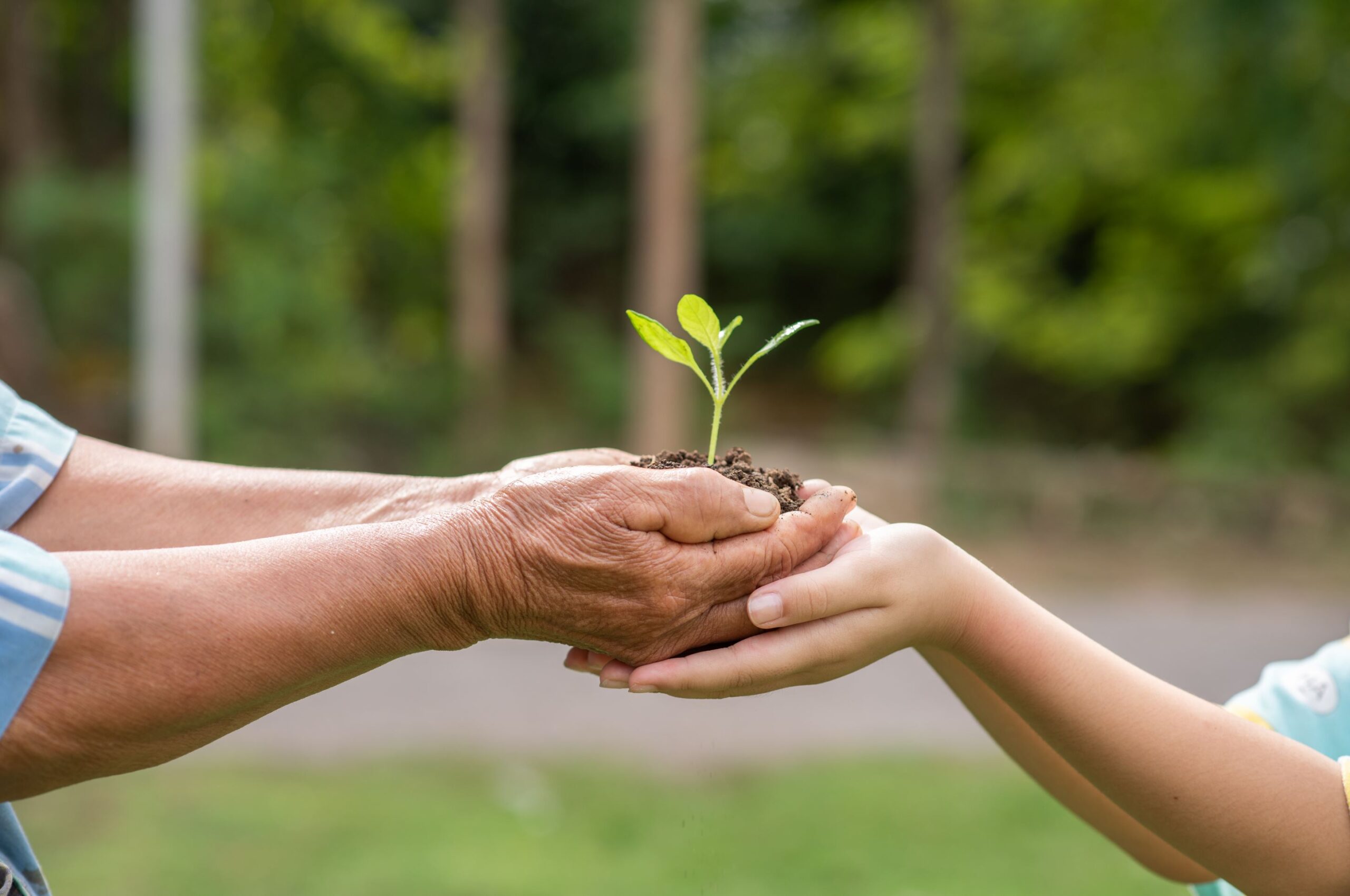 Kako da sačuvate zemljište za buduće generacije?