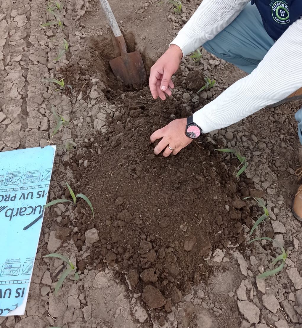 Kako da prirodno popravite zemljište i ubrzate rast biljaka?
