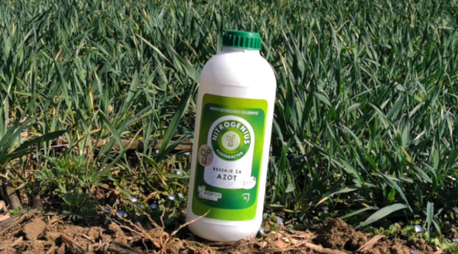 Bočica mikrobiološkog preparata Nitrogenius na zemljištu sa usevom mlade pšenice u pozadini